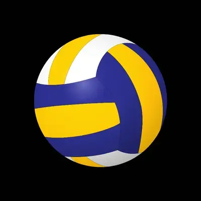 Best Sports Betting Volleyball