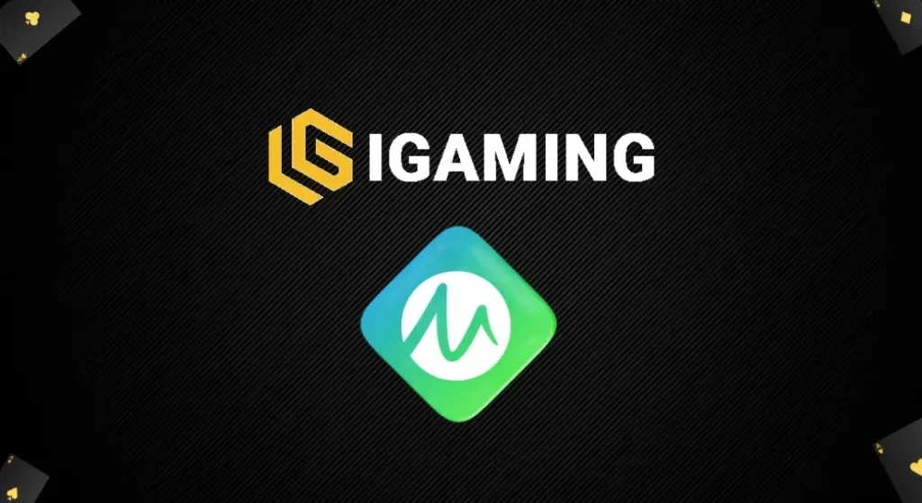 iGaming Microgaming Casino Provider